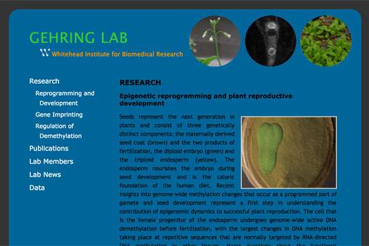 Portfolio thumbnail for Gehring Lab at MIT