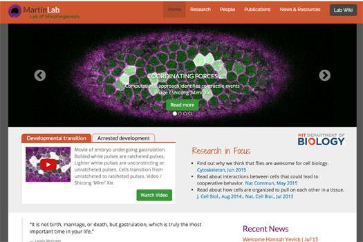 Portfolio thumbnail for Martin Lab at MIT