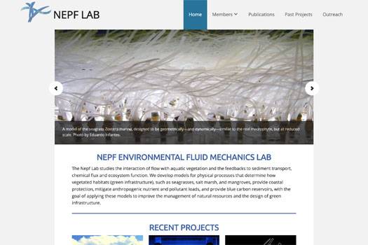 Portfolio thumbnail for Nepf Lab